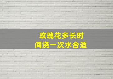 玫瑰花多长时间浇一次水合适