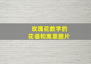 玫瑰花数字的花语和寓意图片