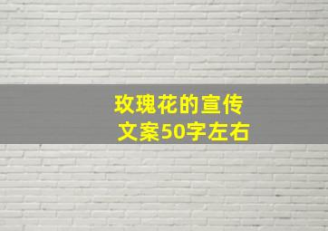 玫瑰花的宣传文案50字左右