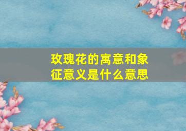 玫瑰花的寓意和象征意义是什么意思