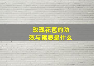 玫瑰花苞的功效与禁忌是什么