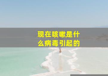 现在咳嗽是什么病毒引起的