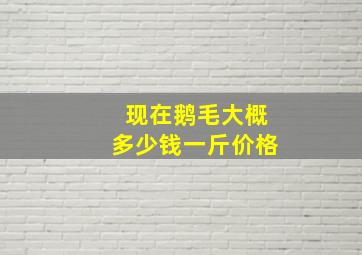 现在鹅毛大概多少钱一斤价格