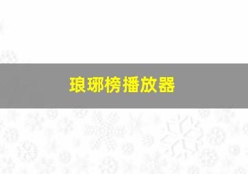 琅琊榜播放器