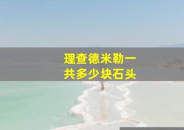 理查德米勒一共多少块石头