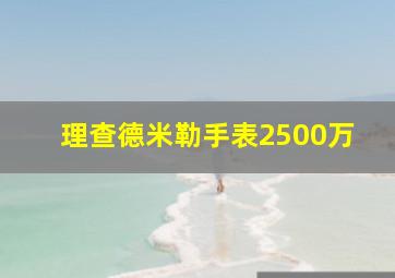 理查德米勒手表2500万