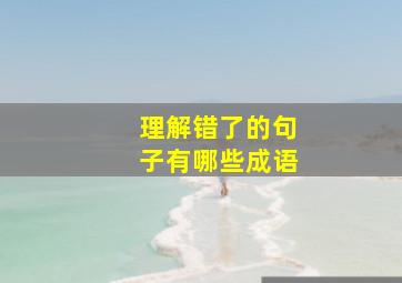 理解错了的句子有哪些成语