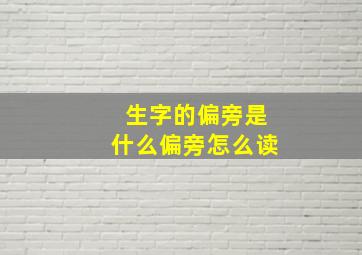 生字的偏旁是什么偏旁怎么读