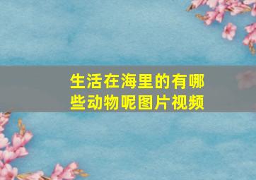 生活在海里的有哪些动物呢图片视频