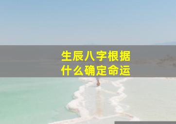 生辰八字根据什么确定命运