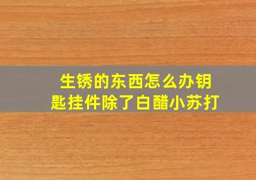 生锈的东西怎么办钥匙挂件除了白醋小苏打