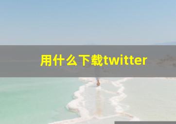 用什么下载twitter