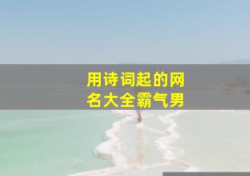 用诗词起的网名大全霸气男