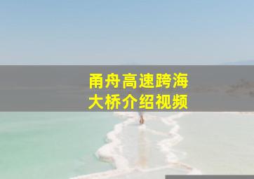 甬舟高速跨海大桥介绍视频