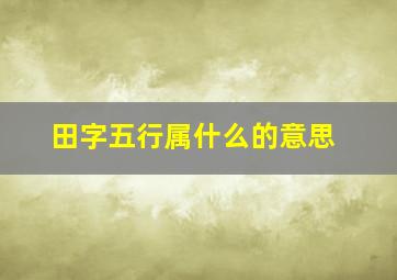 田字五行属什么的意思