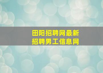 田阳招聘网最新招聘男工信息网