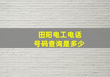 田阳电工电话号码查询是多少