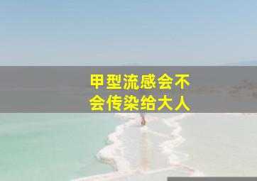 甲型流感会不会传染给大人