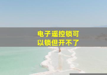 电子遥控锁可以锁但开不了