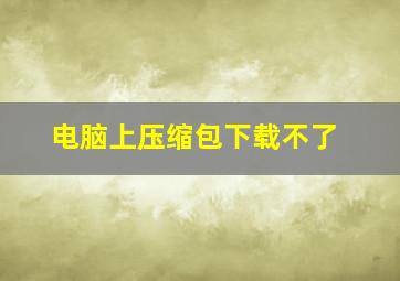 电脑上压缩包下载不了