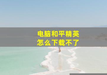 电脑和平精英怎么下载不了