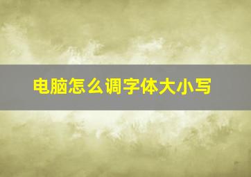 电脑怎么调字体大小写