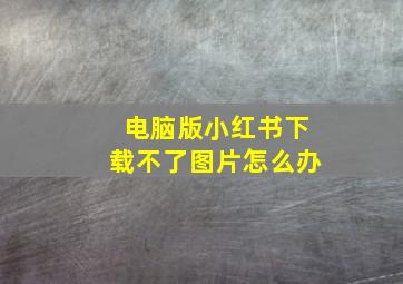 电脑版小红书下载不了图片怎么办