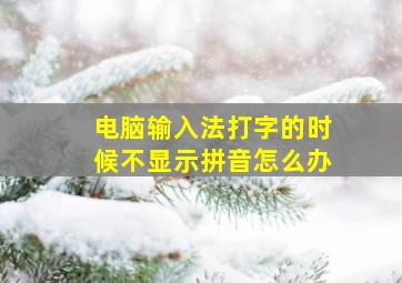 电脑输入法打字的时候不显示拼音怎么办