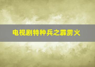 电视剧特种兵之霹雳火