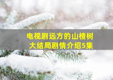 电视剧远方的山楂树大结局剧情介绍5集