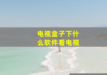 电视盒子下什么软件看电视