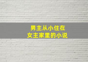 男主从小住在女主家里的小说