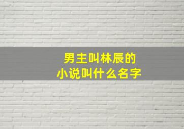 男主叫林辰的小说叫什么名字