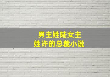 男主姓陆女主姓许的总裁小说