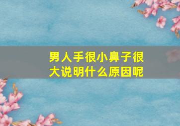 男人手很小鼻子很大说明什么原因呢