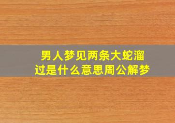 男人梦见两条大蛇溜过是什么意思周公解梦