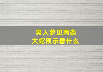 男人梦见两条大蛇预示着什么