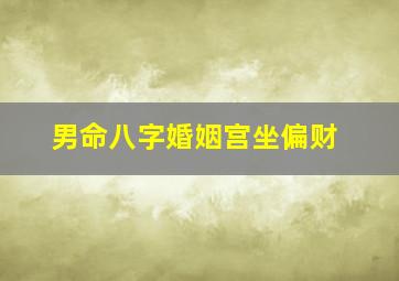 男命八字婚姻宫坐偏财