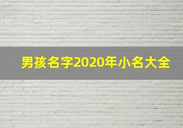 男孩名字2020年小名大全