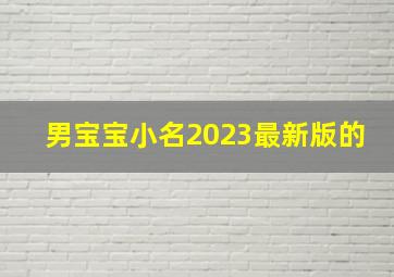 男宝宝小名2023最新版的