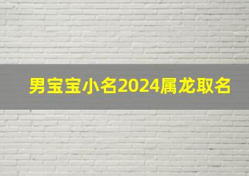 男宝宝小名2024属龙取名