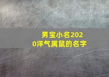 男宝小名2020洋气属鼠的名字