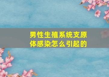 男性生殖系统支原体感染怎么引起的