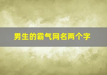 男生的霸气网名两个字