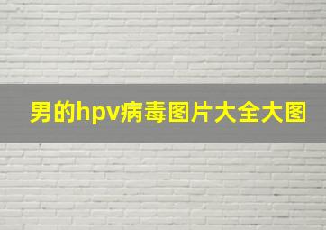 男的hpv病毒图片大全大图