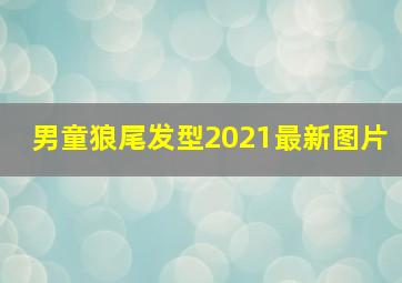 男童狼尾发型2021最新图片