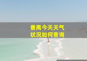 番禺今天天气状况如何查询