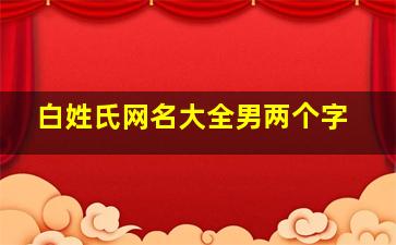 白姓氏网名大全男两个字