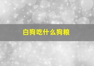 白狗吃什么狗粮