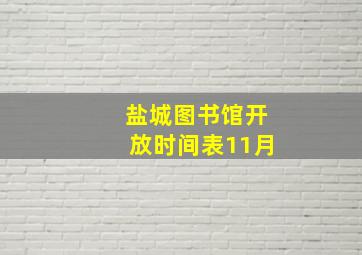 盐城图书馆开放时间表11月